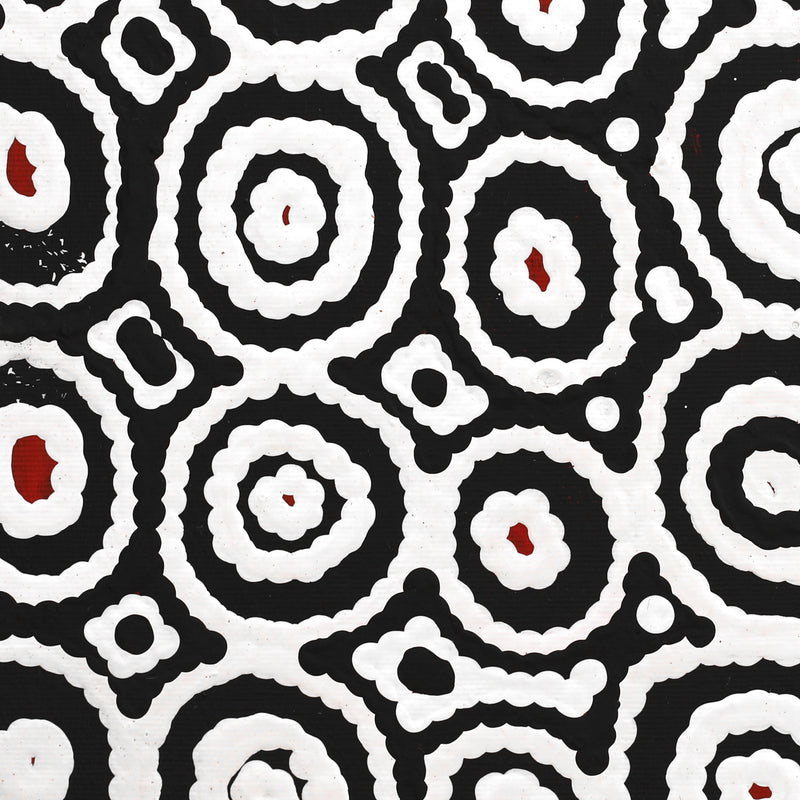 Aboriginal Artwork by Cecily Napanangka Marshall, Karnta Jukurrpa (Womens Dreaming), 30x30cm
