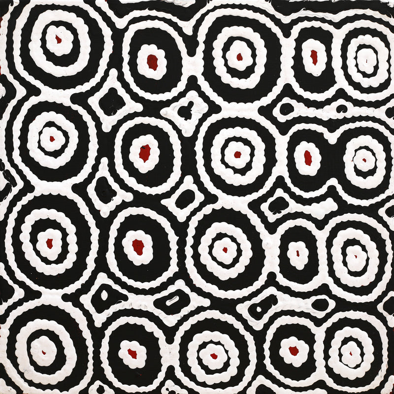 Aboriginal Artwork by Cecily Napanangka Marshall, Karnta Jukurrpa (Womens Dreaming), 30x30cm