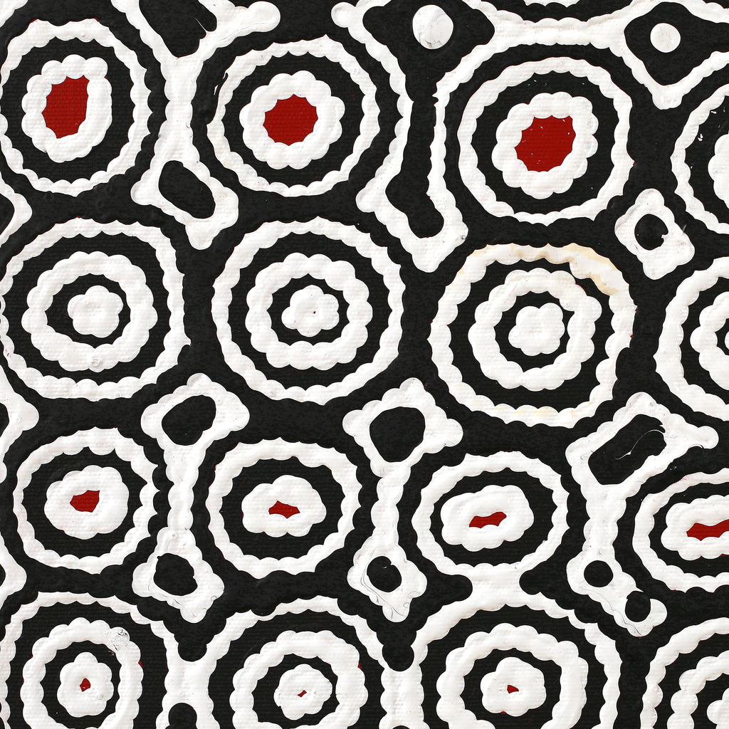 Aboriginal Artwork by Cecily Napanangka Marshall, Karnta Jukurrpa (Womens Dreaming), 30x30cm