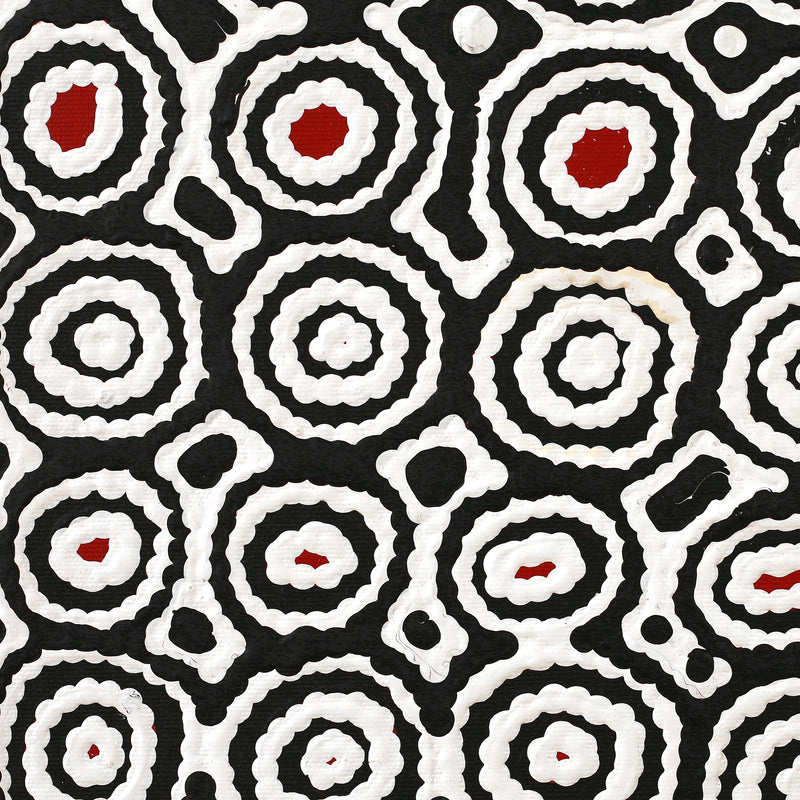 Aboriginal Artwork by Cecily Napanangka Marshall, Karnta Jukurrpa (Womens Dreaming), 30x30cm