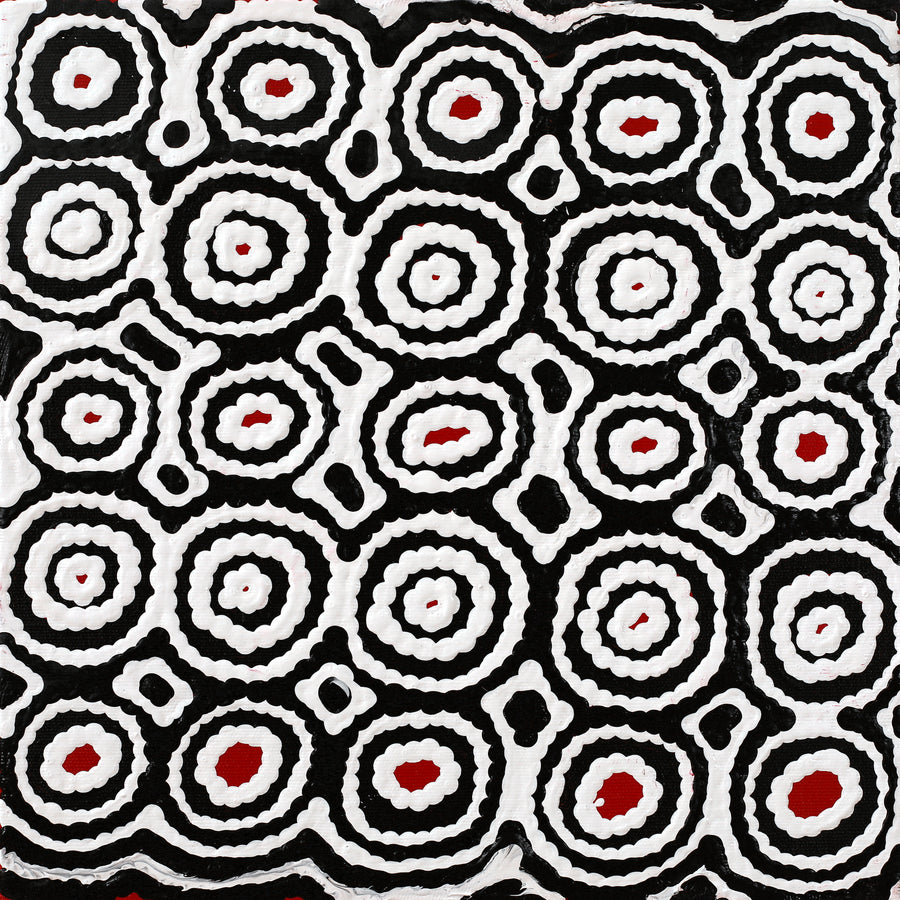 Aboriginal Artwork by Cecily Napanangka Marshall, Karnta Jukurrpa (Womens Dreaming), 30x30cm