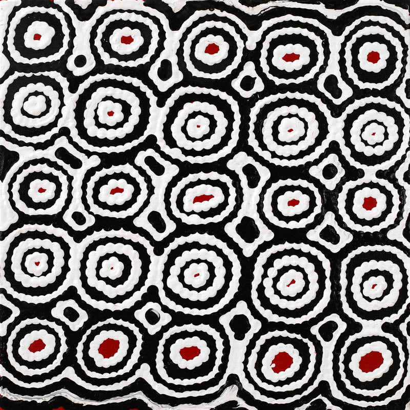 Aboriginal Artwork by Cecily Napanangka Marshall, Karnta Jukurrpa (Womens Dreaming), 30x30cm