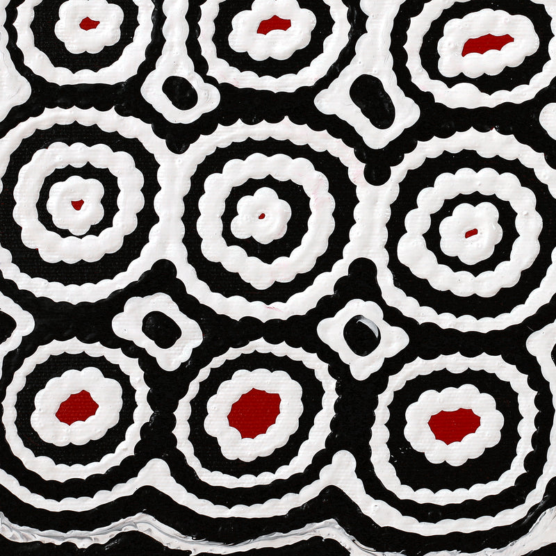 Aboriginal Artwork by Cecily Napanangka Marshall, Karnta Jukurrpa (Womens Dreaming), 30x30cm
