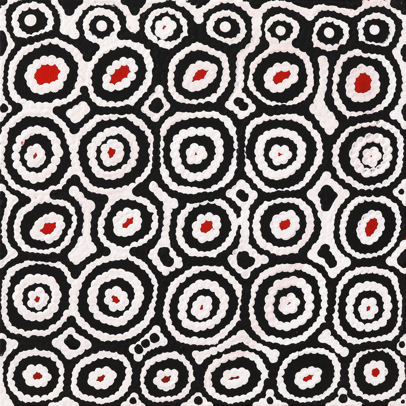 Aboriginal Artwork by Cecily Napanangka Marshall, Karnta Jukurrpa (Womens Dreaming), 30x30cm