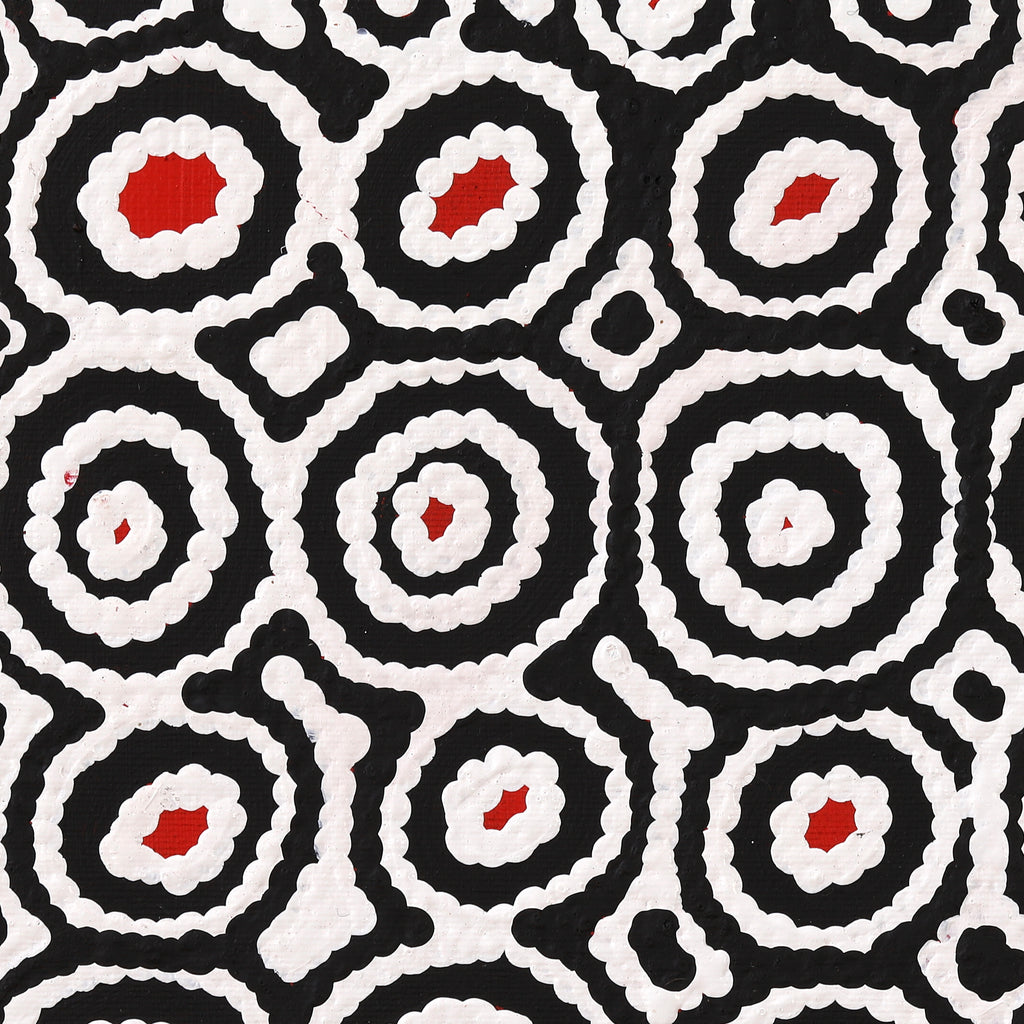 Aboriginal Artwork by Cecily Napanangka Marshall, Karnta Jukurrpa (Womens Dreaming), 30x30cm