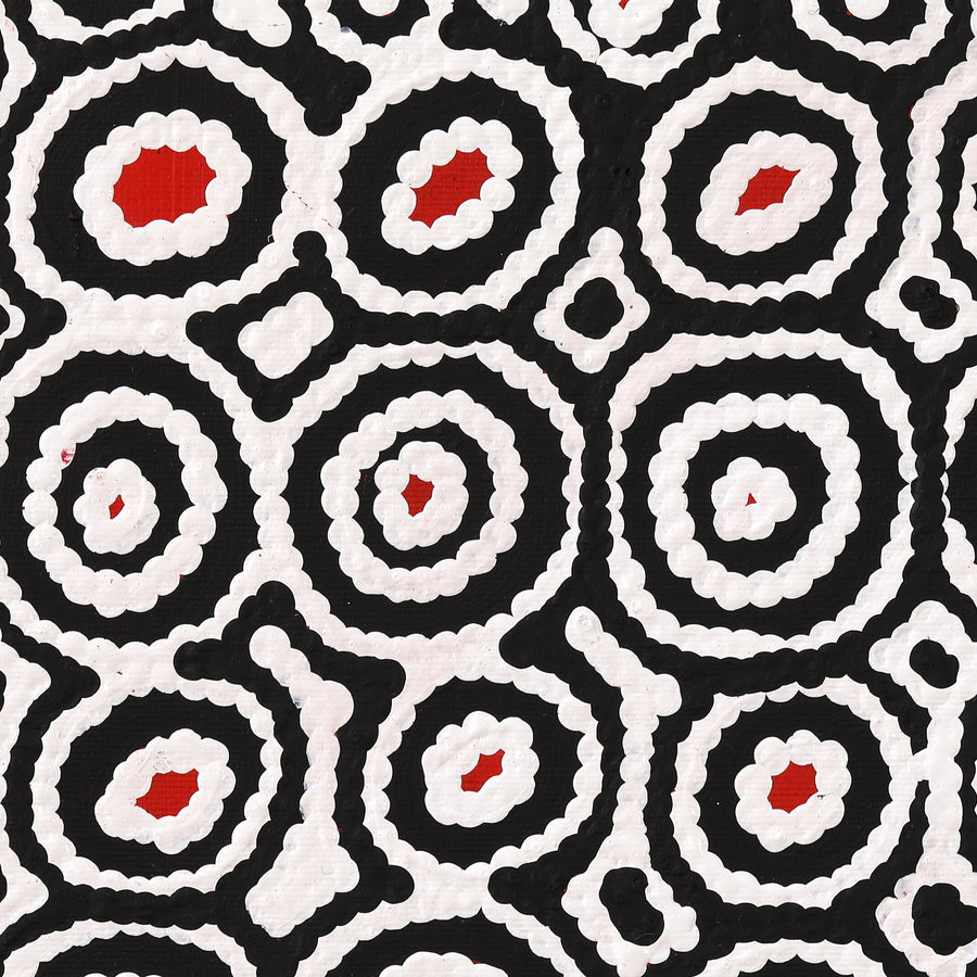 Aboriginal Artwork by Cecily Napanangka Marshall, Karnta Jukurrpa (Womens Dreaming), 30x30cm