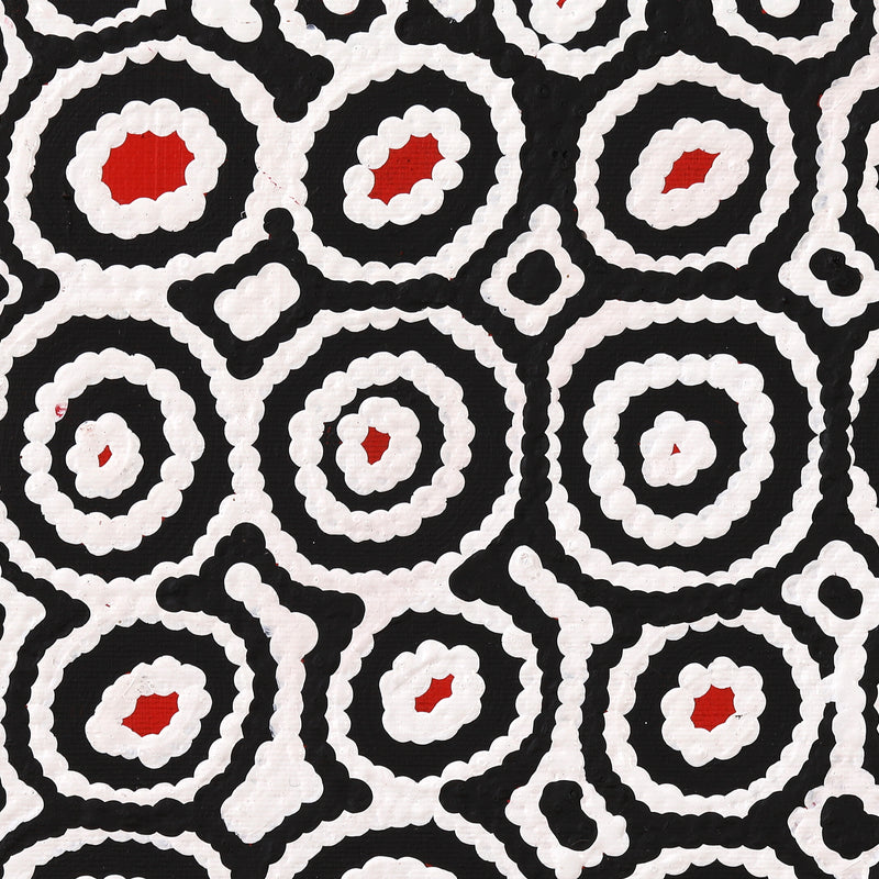 Aboriginal Artwork by Cecily Napanangka Marshall, Karnta Jukurrpa (Womens Dreaming), 30x30cm