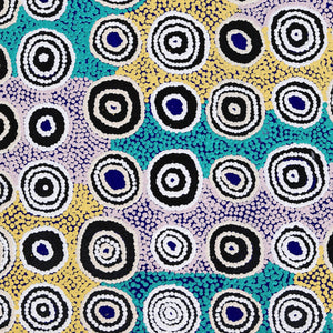 Aboriginal Artwork by Cecily Napanangka Marshall, Pikilyi Jukurrpa (Vaughan Springs Dreaming), 61x46cm - ART ARK®
