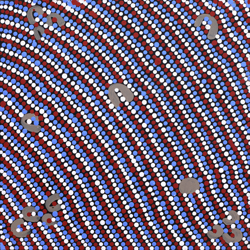 Aboriginal Artwork by Celestine Nungarrayi Tex, Lappi Lappi Jukurrpa, 30x30cm