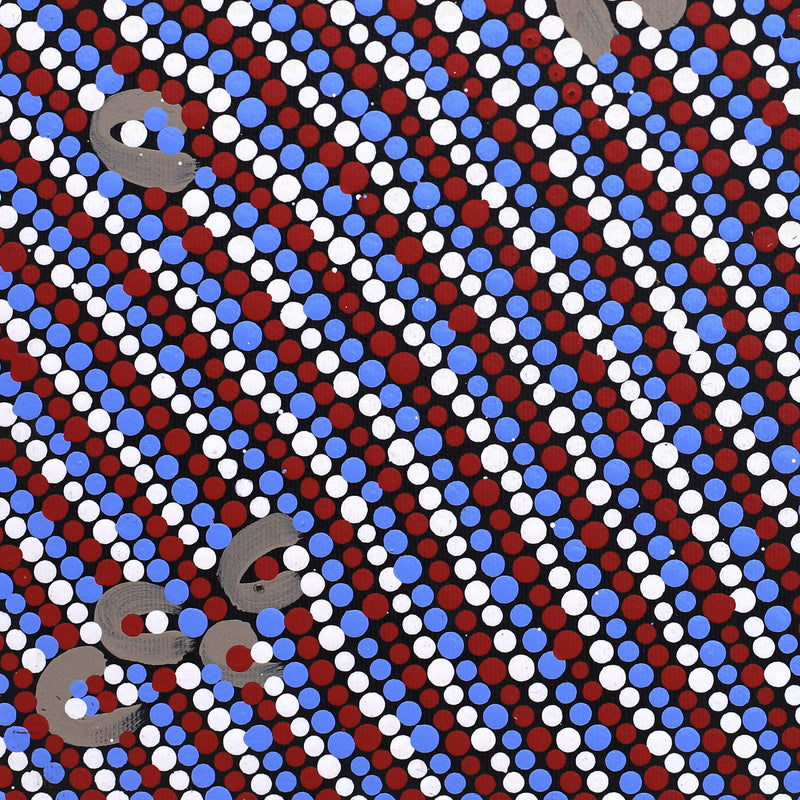 Aboriginal Artwork by Celestine Nungarrayi Tex, Lappi Lappi Jukurrpa, 30x30cm