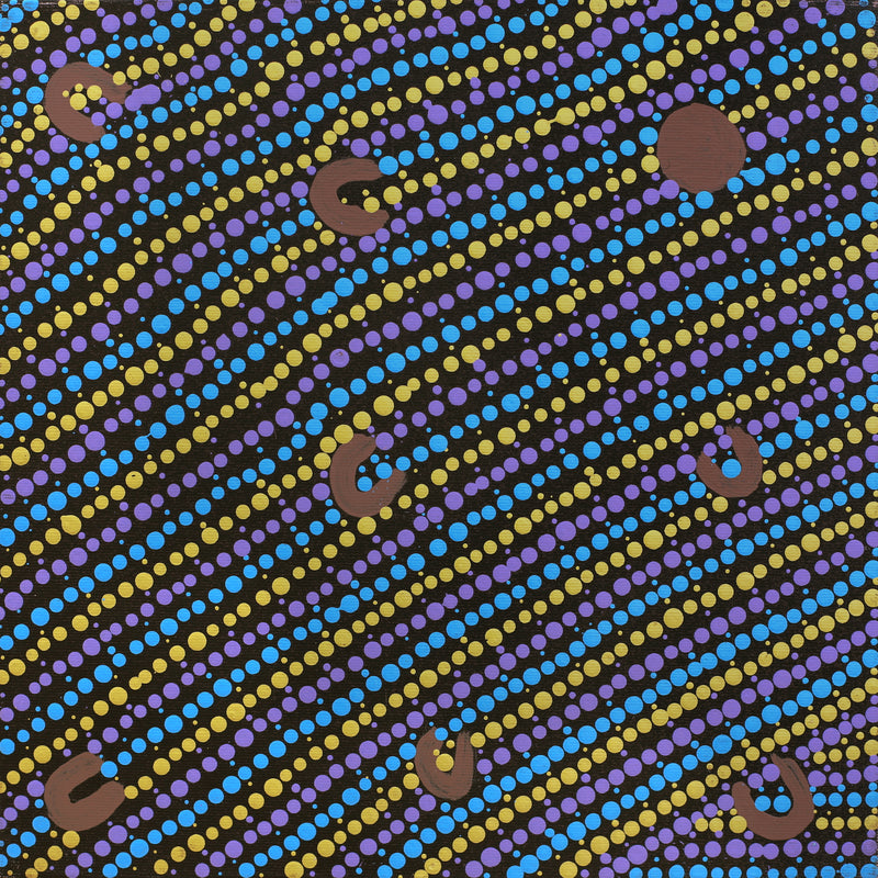 Aboriginal Artwork by Celestine Nungarrayi Tex, Lappi Lappi Jukurrpa, 30x30cm