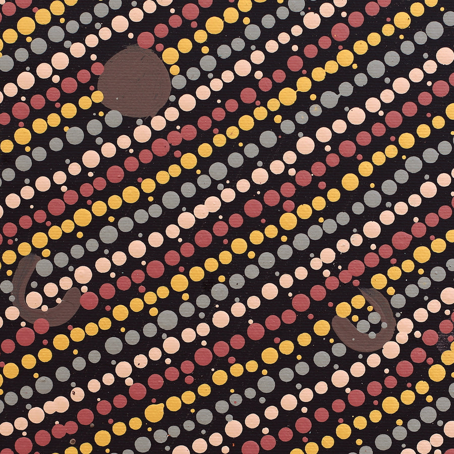 Aboriginal Artwork by Celestine Nungarrayi Tex, Lappi Lappi Jukurrpa, 30x30cm