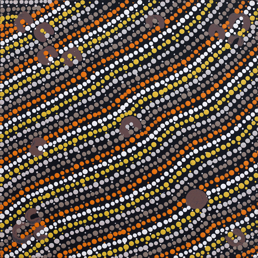 Aboriginal Artwork by Celestine Nungarrayi Tex, Lappi Lappi Jukurrpa, 30x30cm