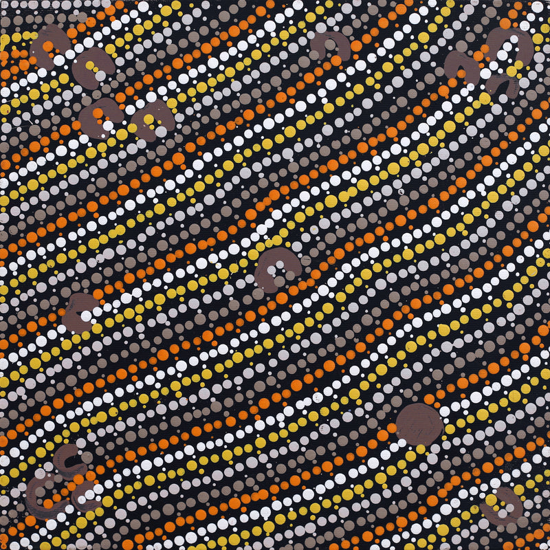 Aboriginal Artwork by Celestine Nungarrayi Tex, Lappi Lappi Jukurrpa, 30x30cm