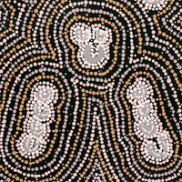 Aboriginal Artwork by Celestine Nungarrayi Tex, Lappi Lappi Jukurrpa, 61x30cm