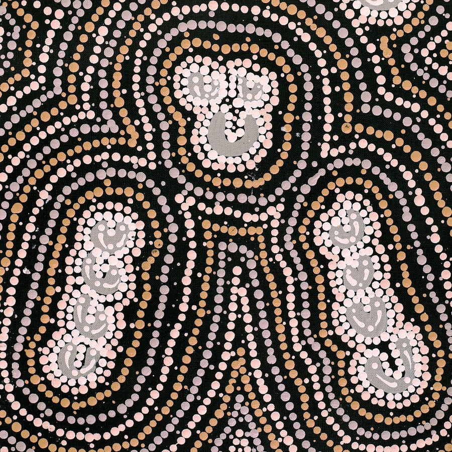 Aboriginal Artwork by Celestine Nungarrayi Tex, Lappi Lappi Jukurrpa, 61x30cm