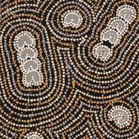 Aboriginal Artwork by Celestine Nungarrayi Tex, Lappi Lappi Jukurrpa, 61x30cm