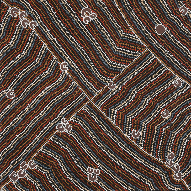 Aboriginal Art by Celestine Nungarrayi Tex, Lappi Lappi Jukurrpa, 76x76cm - ART ARK®