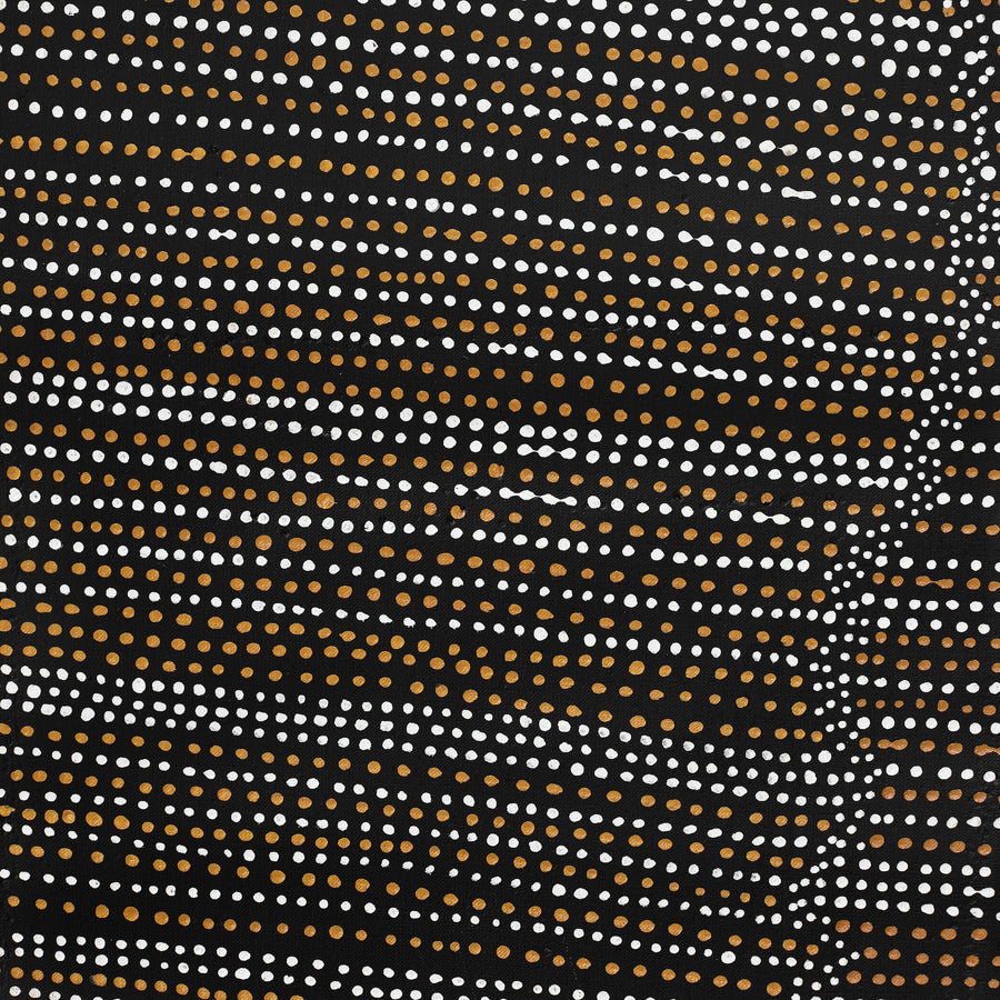 Aboriginal Artwork by Chantelle Nampijinpa Robertson, Ngapa Jukurrpa (Water Dreaming) - Puyurru, 152x61cm