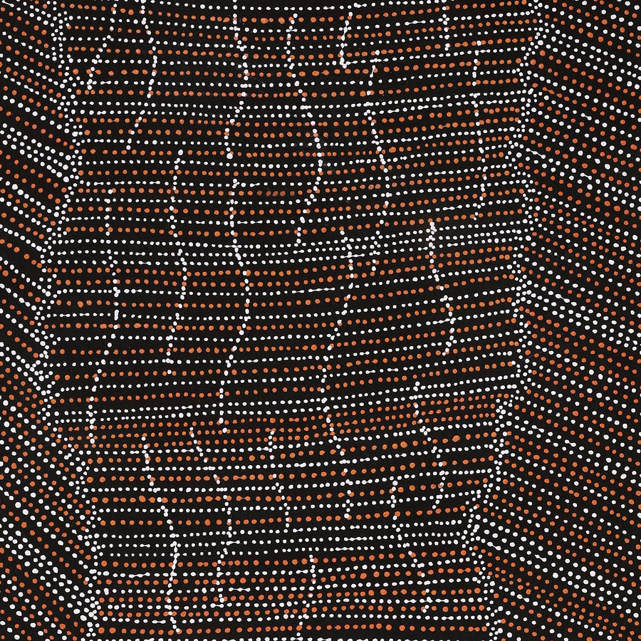 Aboriginal Artwork by Chantelle Nampijinpa Robertson, Ngapa Jukurrpa (Water Dreaming) - Puyurru, 152x76cm
