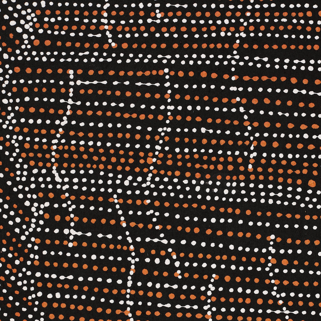 Aboriginal Artwork by Chantelle Nampijinpa Robertson, Ngapa Jukurrpa (Water Dreaming) - Puyurru, 152x76cm
