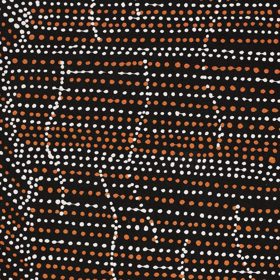 Aboriginal Artwork by Chantelle Nampijinpa Robertson, Ngapa Jukurrpa (Water Dreaming) - Puyurru, 152x76cm