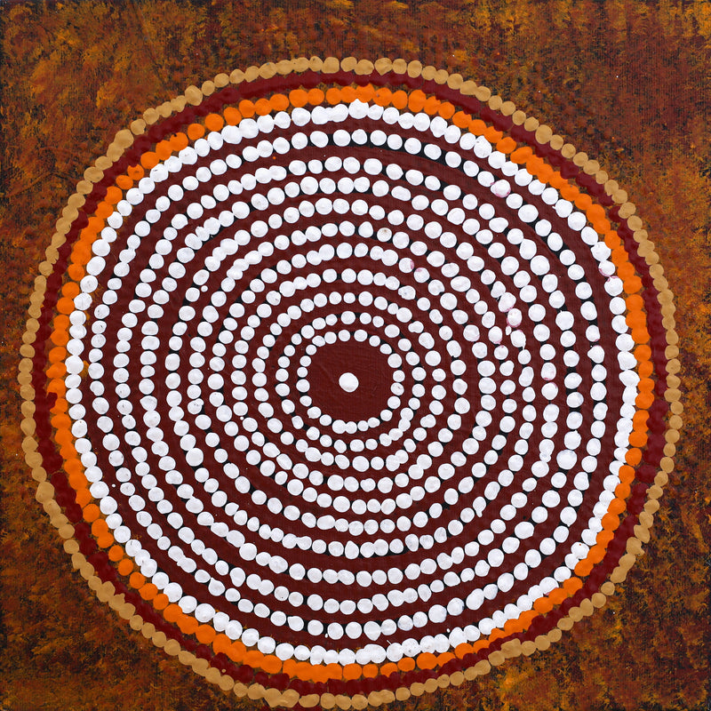 Aboriginal Artwork by Chantelle Napanangka Williams, Yarla Jukurrpa (Bush Potato Dreaming) - Cockatoo Creek, 30x30cm