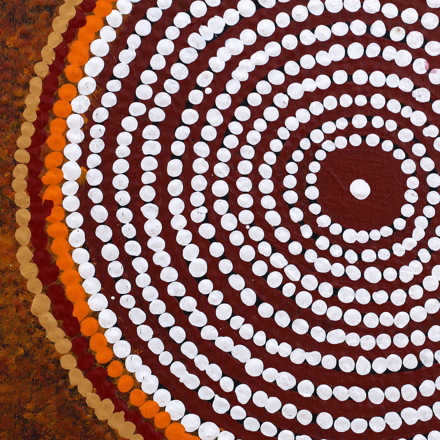 Aboriginal Artwork by Chantelle Napanangka Williams, Yarla Jukurrpa (Bush Potato Dreaming) - Cockatoo Creek, 30x30cm