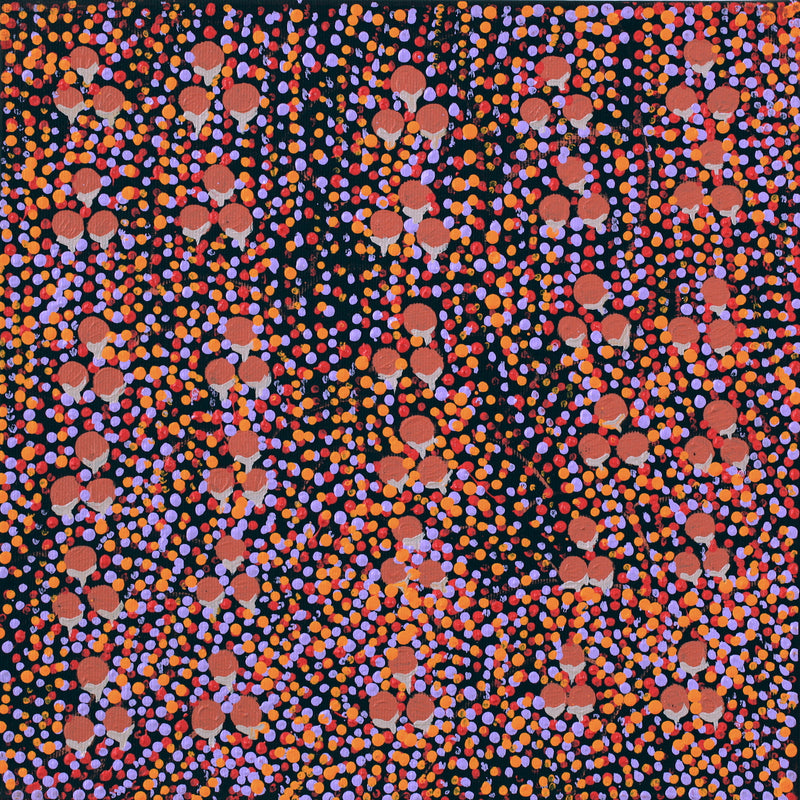 Aboriginal Artwork by Charlene Napanangka Marshall, Wanakiji Jukurrpa (Bush Tomato Dreaming), 30x30cm