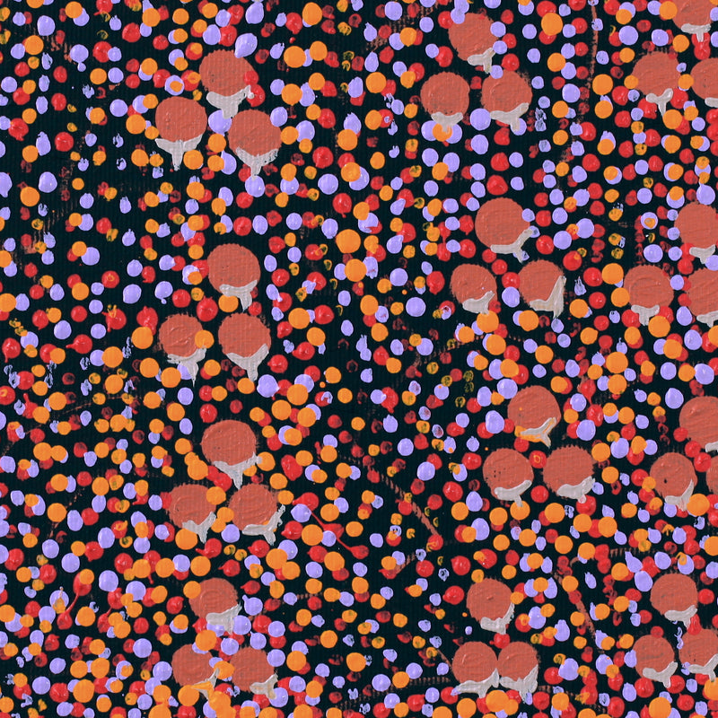 Aboriginal Artwork by Charlene Napanangka Marshall, Wanakiji Jukurrpa (Bush Tomato Dreaming), 30x30cm