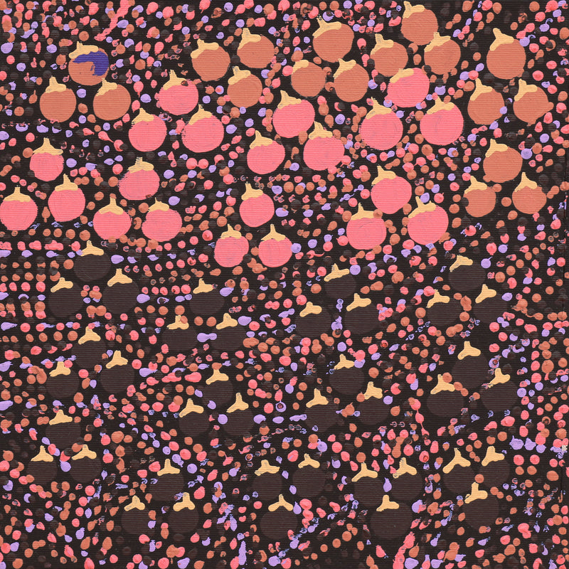 Aboriginal Artwork by Charlene Napanangka Marshall, Wanakiji Jukurrpa (Bush Tomato Dreaming), 30x30cm