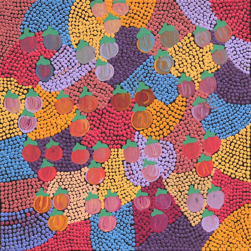 Aboriginal Artwork by Charlene Napanangka Marshall, Wanakiji Jukurrpa (Bush Tomato Dreaming), 30x30cm
