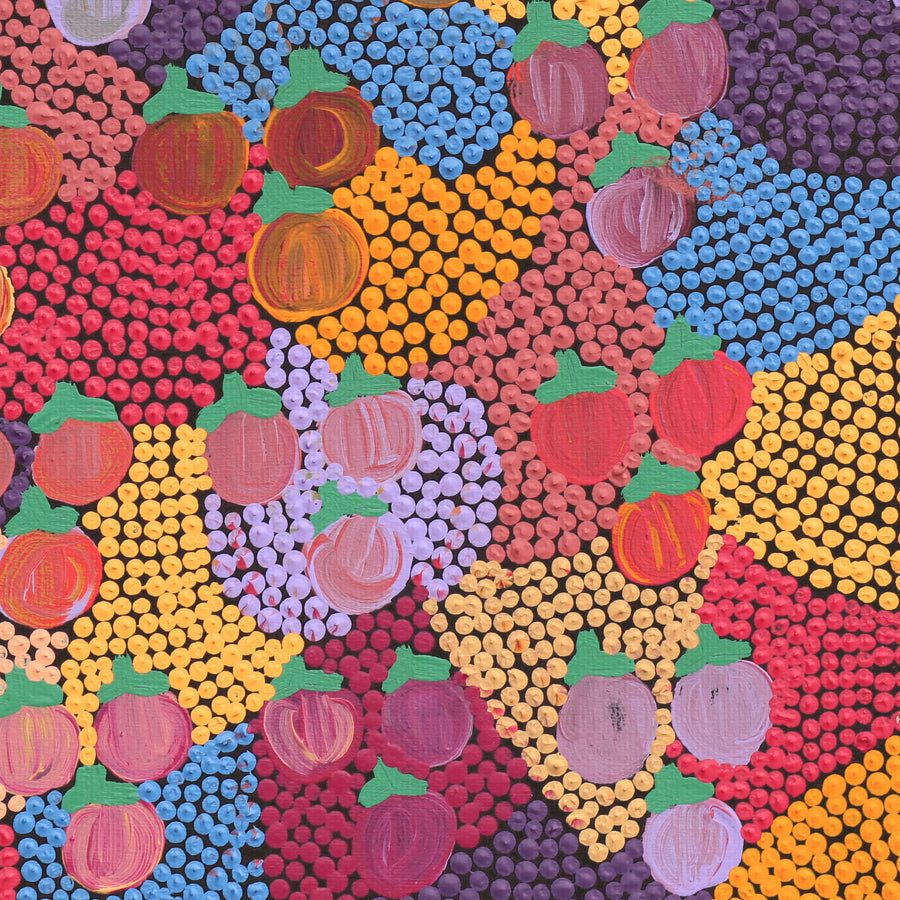 Aboriginal Artwork by Charlene Napanangka Marshall, Wanakiji Jukurrpa (Bush Tomato Dreaming), 30x30cm