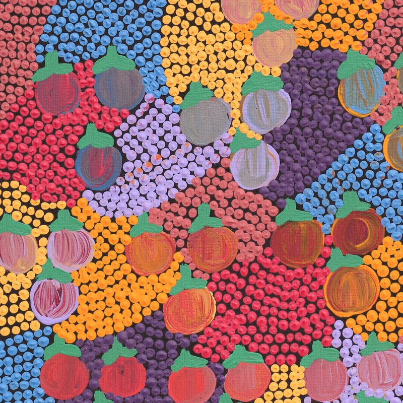 Aboriginal Artwork by Charlene Napanangka Marshall, Wanakiji Jukurrpa (Bush Tomato Dreaming), 30x30cm