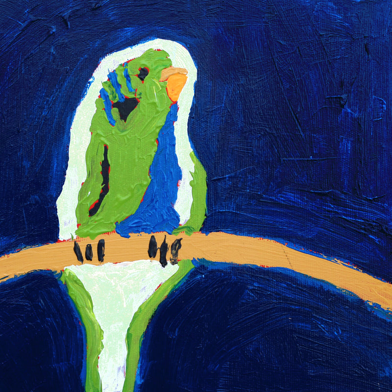 Aboriginal Artwork by Cherylyn Napangardi Granites, Jurlpu kuja kalu nyinami Yurntumu-wana (Birds that live around Yuendumu), 30x30cm