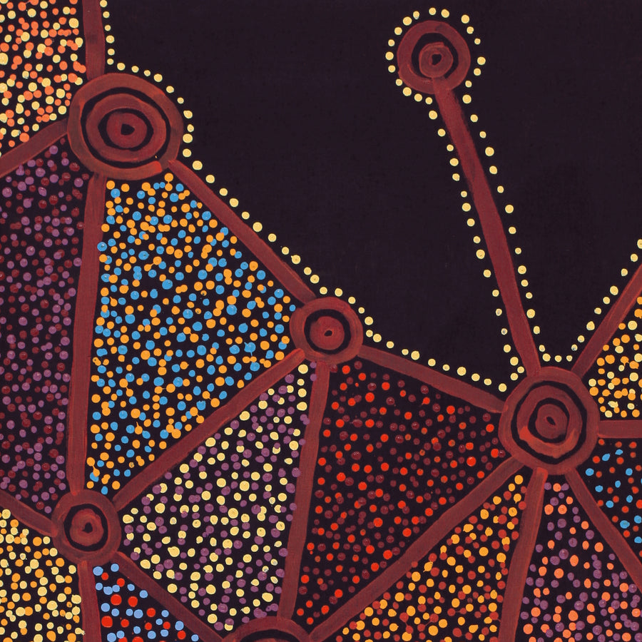 Aboriginal Artwork by Christopher Japangardi Michaels, Ngapa Jukurrpa (Water Dreaming) - Puyurru, 107x61cm