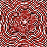 Aboriginal Artwork by Chriselda Nangala Egan, Watiya-warnu Jukurrpa (Seed Dreaming), 30x30cm