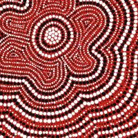 Aboriginal Artwork by Chriselda Nangala Egan, Watiya-warnu Jukurrpa (Seed Dreaming), 30x30cm