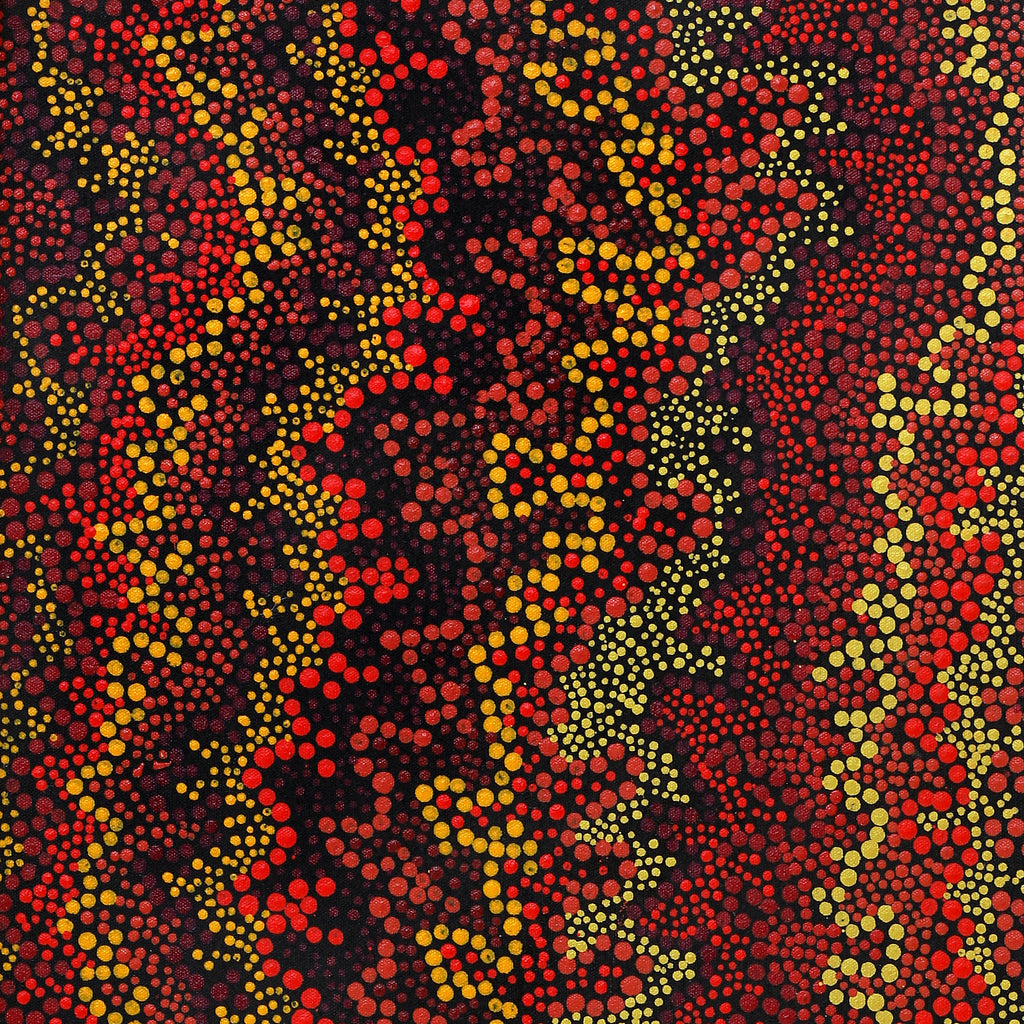 Aboriginal Artwork by Chriselda Nangala Egan, Watiya-warnu Jukurrpa (Seed Dreaming), 76x30cm