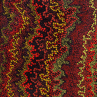 Aboriginal Artwork by Chriselda Nangala Egan, Watiya-warnu Jukurrpa (Seed Dreaming), 76x30cm
