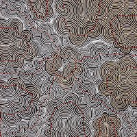 Aboriginal Artwork by Christine Nakamarra Curtis, Mina Mina Jukurrpa, 107x107cm