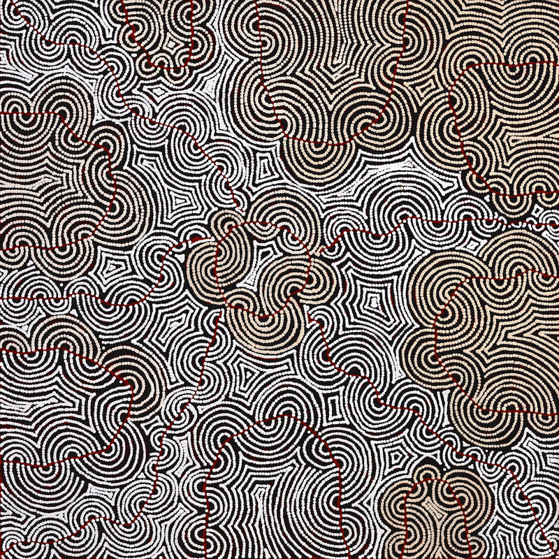 Aboriginal Artwork by Christine Nakamarra Curtis, Mina Mina Jukurrpa, 107x107cm