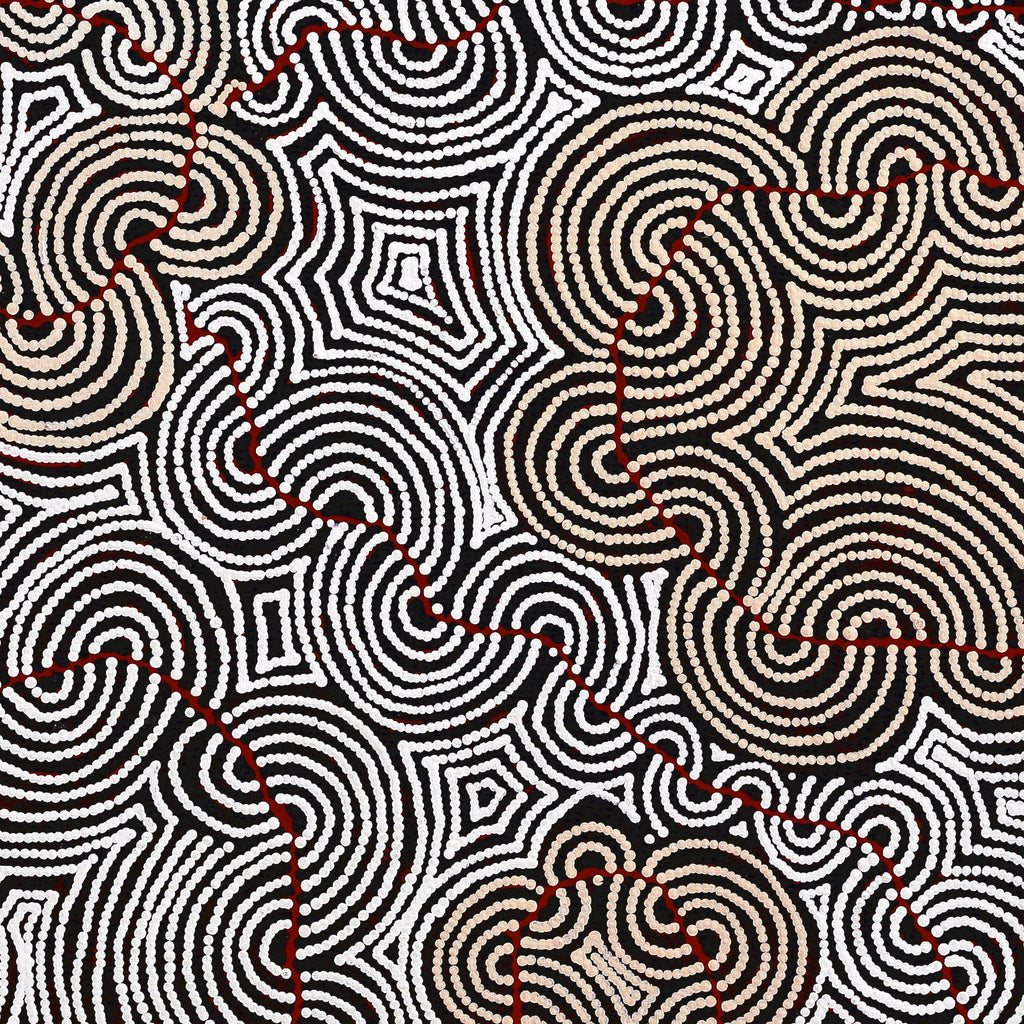 Aboriginal Artwork by Christine Nakamarra Curtis, Mina Mina Jukurrpa, 107x107cm