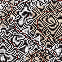 Aboriginal Artwork by Christine Nakamarra Curtis, Mina Mina Jukurrpa, 107x107cm