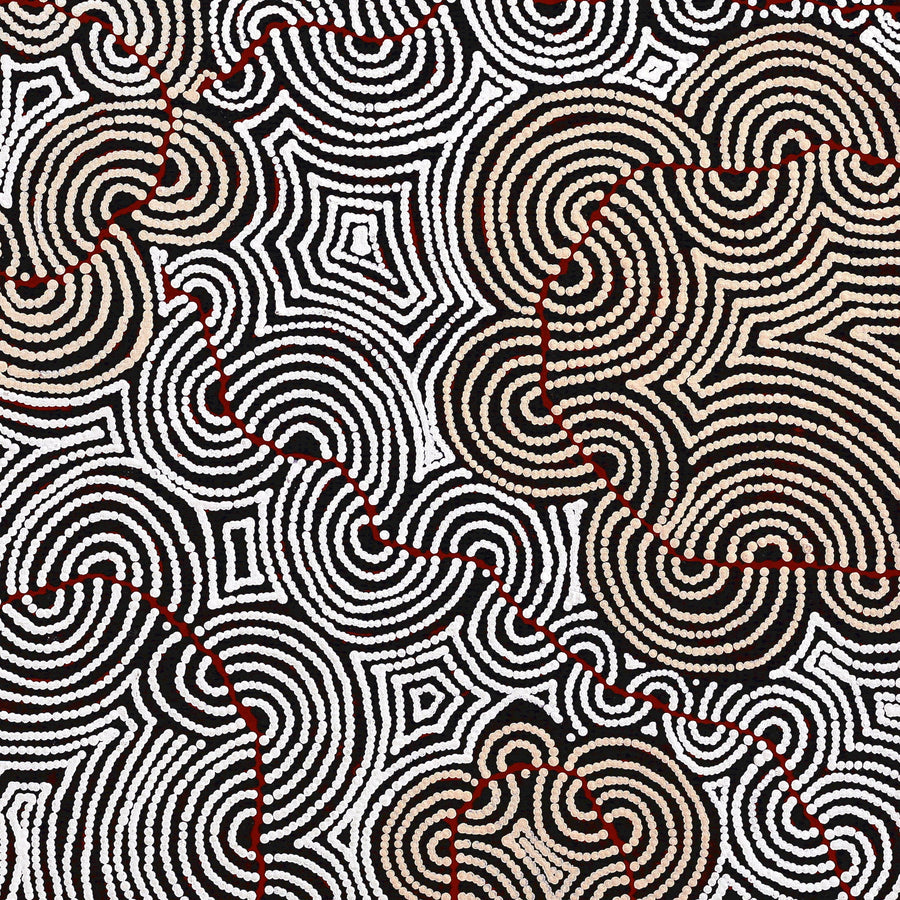Aboriginal Artwork by Christine Nakamarra Curtis, Mina Mina Jukurrpa, 107x107cm