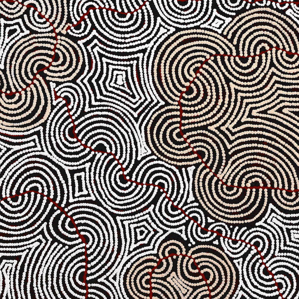 Aboriginal Artwork by Christine Nakamarra Curtis, Mina Mina Jukurrpa, 107x107cm - ART ARK®