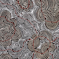 Aboriginal Artwork by Christine Nakamarra Curtis, Mina Mina Jukurrpa, 107x107cm