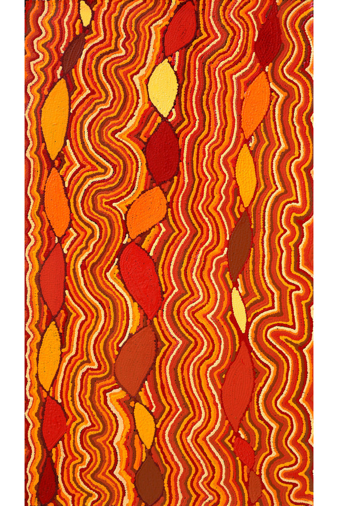 Aboriginal Artwork by Christine Nakamarra Curtis, Mina Mina Jukurrpa, 107x61cm