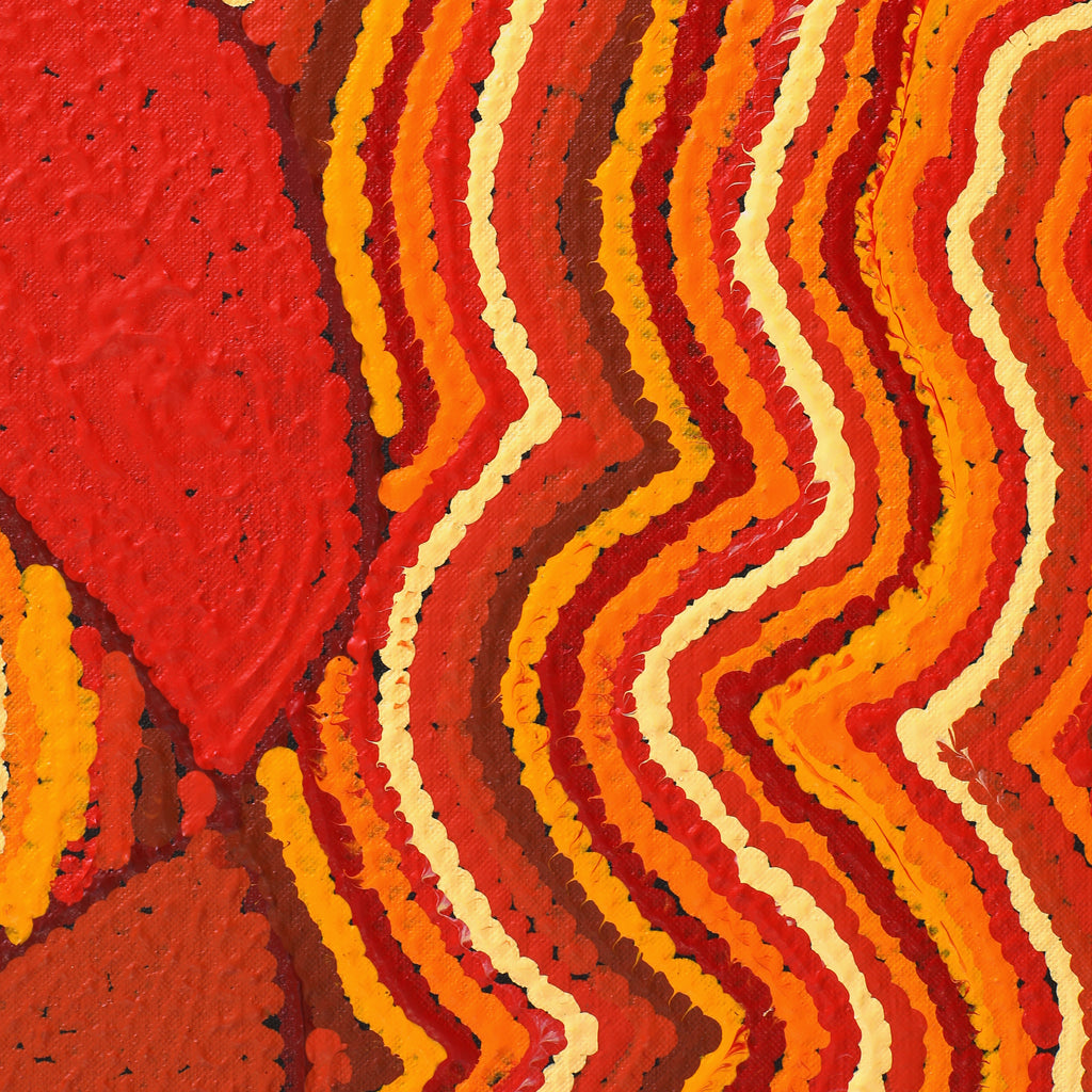 Aboriginal Artwork by Christine Nakamarra Curtis, Mina Mina Jukurrpa, 107x61cm