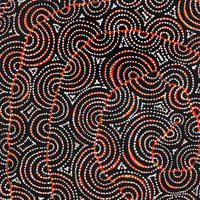 Aboriginal Artwork by Christine Nakamarra Curtis, Mina Mina Jukurrpa, 107x91cm